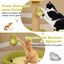 COSTWAY Rascador para Gatos, Torre para Gatos de 2 Niveles con Tema de Aguacate, Juguete con Resorte Postes de Rascado de Yute, Base Ancha Antideslizante, Mueble de Escalada Compacto para Gatos, , large indicador imagen numero 4