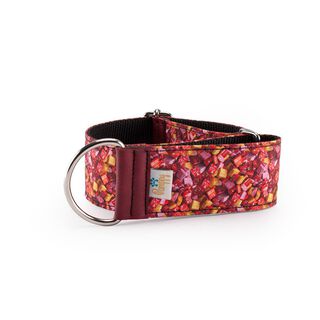 Pampy Speedy Regulable Collar Galgo Caramelos para perros