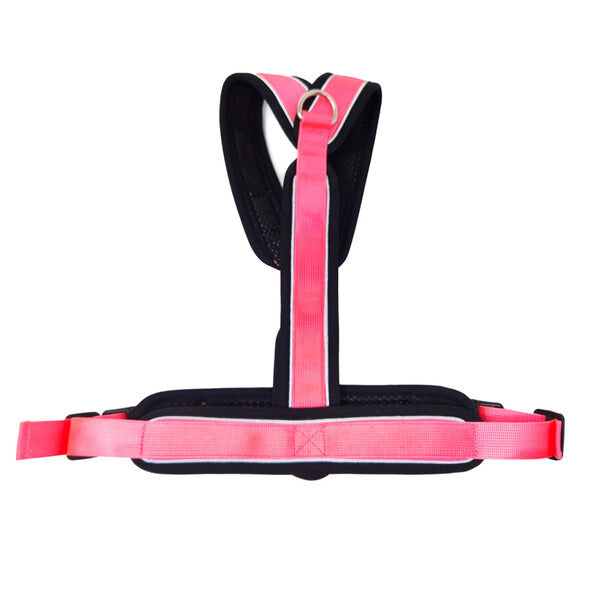Arn&eacute;s Reflectante Anti-Tirones en Forma "Y"- Ideal para Lebreles: Galgo Italiano, Whippet, Galgo, Podenco - Seguro, Transpirable y Duradero - Perfecto para Caminar, Entrenar y Correr - ROSA, XXL, , large Imagen numero 3