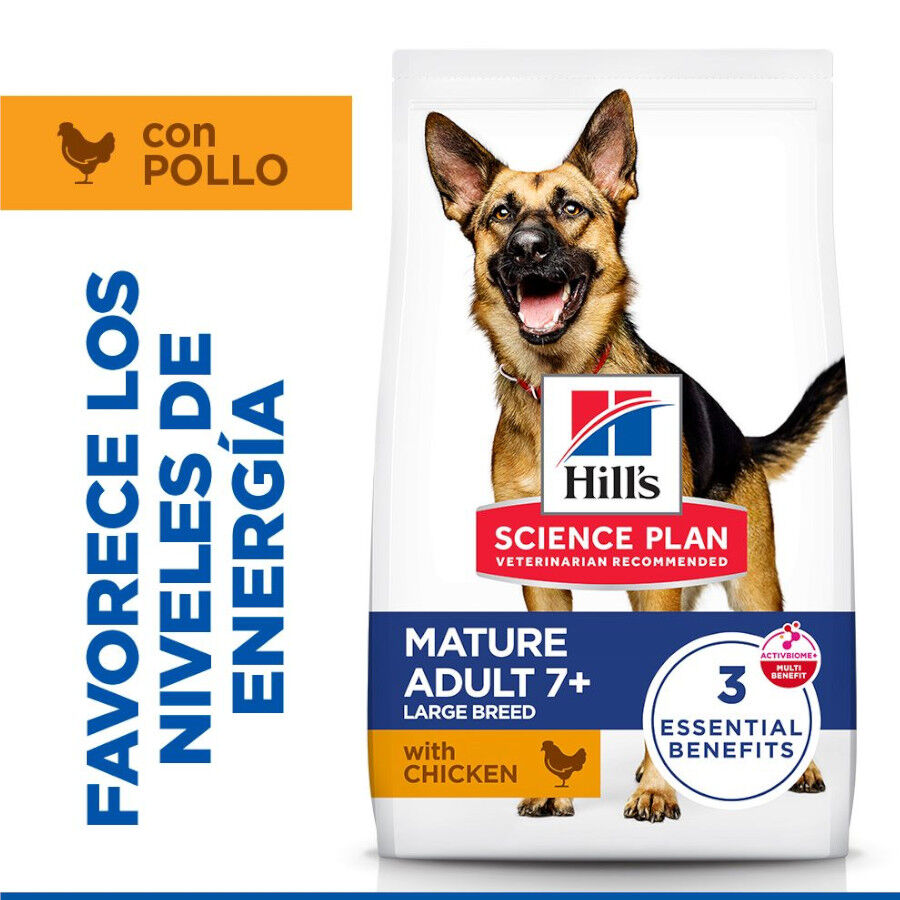 18 kg Hill's Science Plan Mature Adult Large Pollo pienso para perros, , large Imagen numero 2