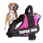 Edipets arnés ajustable y antitirones rosa para perros, , large indicador imagen numero 1