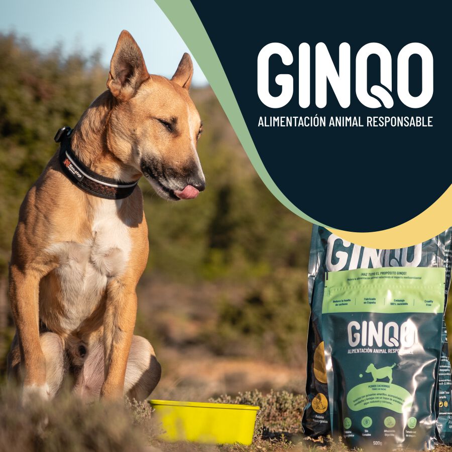 GINQO PERROS CACHORROS: HYPOALERG&Eacute;NICO, GRAIN FREE Y SOSTENIBLE. HECHO CON PROTEINA DE INSECTOS, , large Imagen numero 4