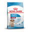 15 kg Royal Canin Puppy Medium pienso para perros, , large indicador imagen numero 1