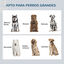 PawHut Comedero Elevado para Perros Grandes Cuencos para Perros con 2 Tazones 2000ml de Acero Inoxidable y Cajón Oculto Soporte de Madera para Mascotas 60x30x36 cm Blanco., , large indicador imagen numero 4