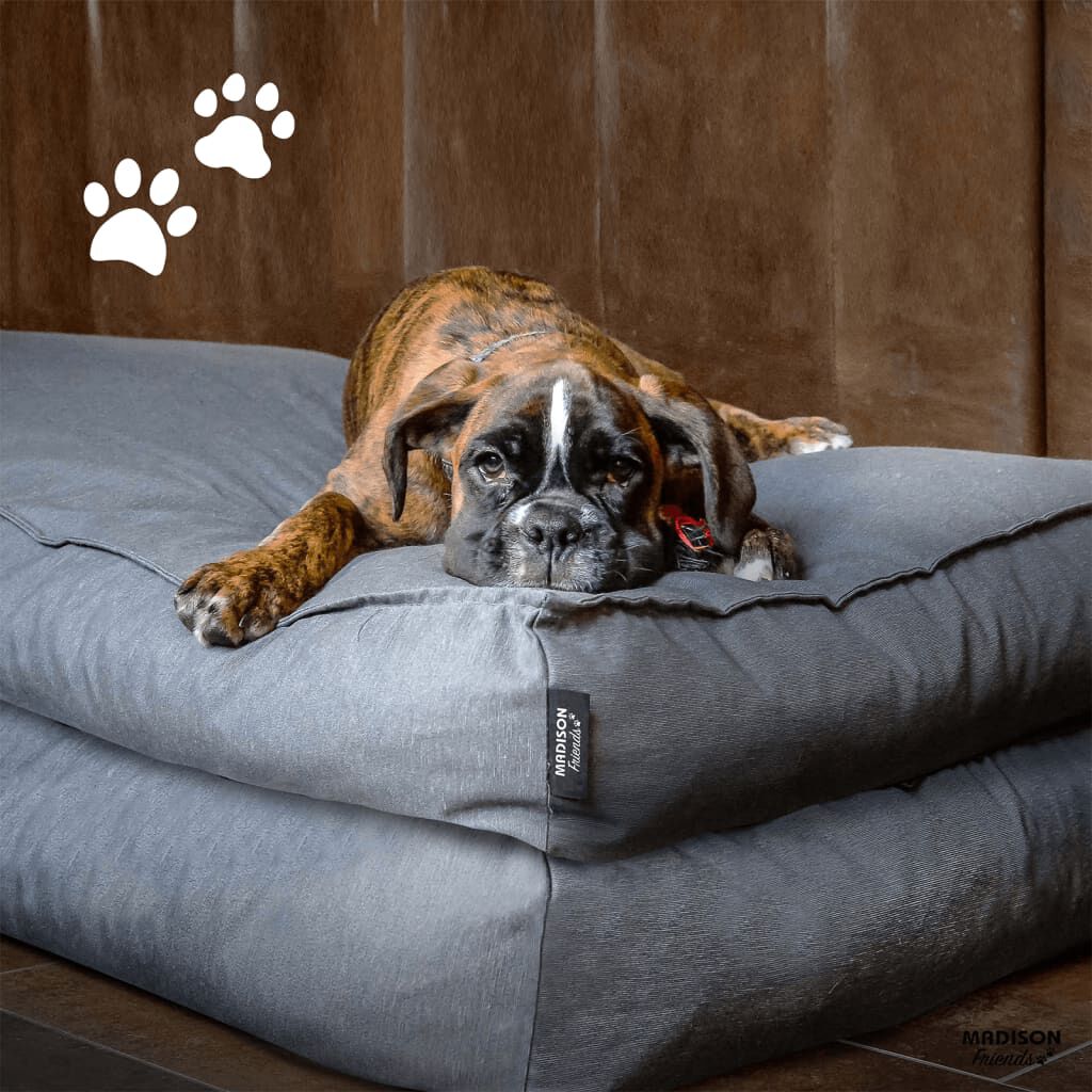 Cama Para Perros, , large Imagen numero 2