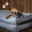 Cama Para Perros, , large indicador imagen numero 2
