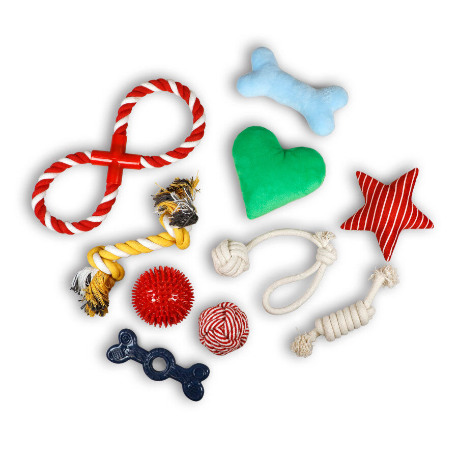 Tootoy! Chew Exploration Toys - Set de juguetes para cachorros thumbnail