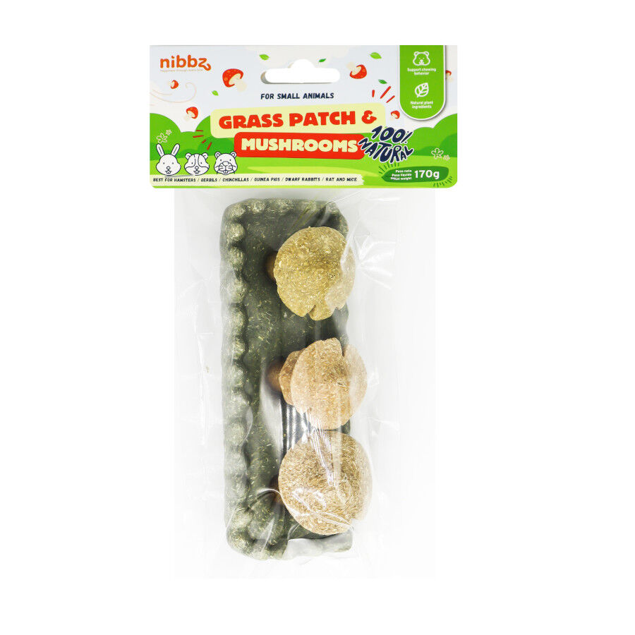 Nibbz Huerto de hierba y Hongos Comestible complemento alimenticio para roedores thumbnail