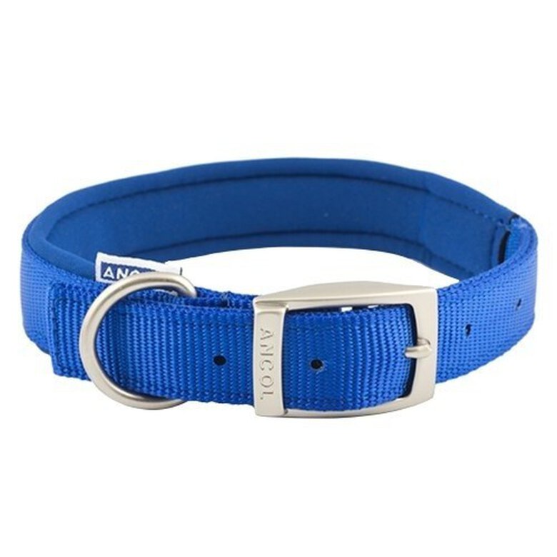 Collar acolchado modelo Heritage para perro color Azul, , large image number null