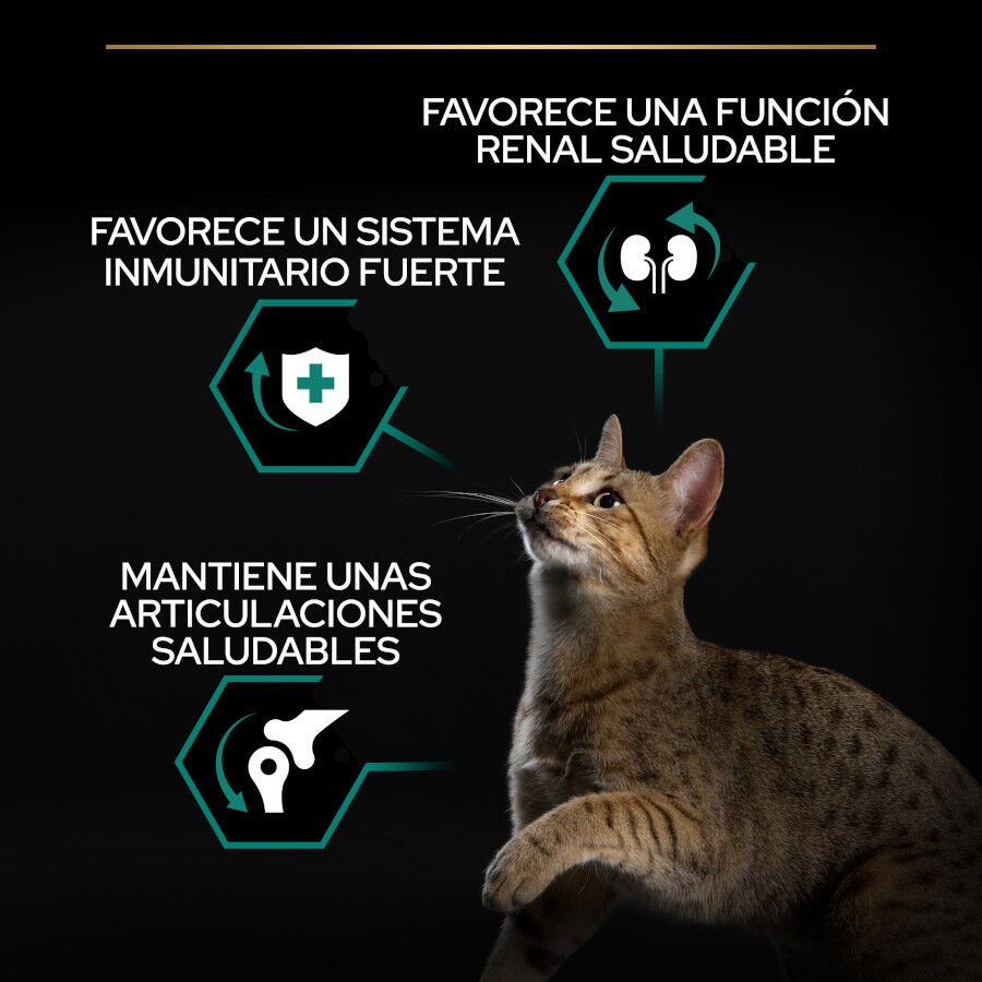 Pro Plan Adult Renal Plus Pollo Pienso para gatos thumbnail