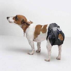 Ibañez Pañales Desechables Negros para perros