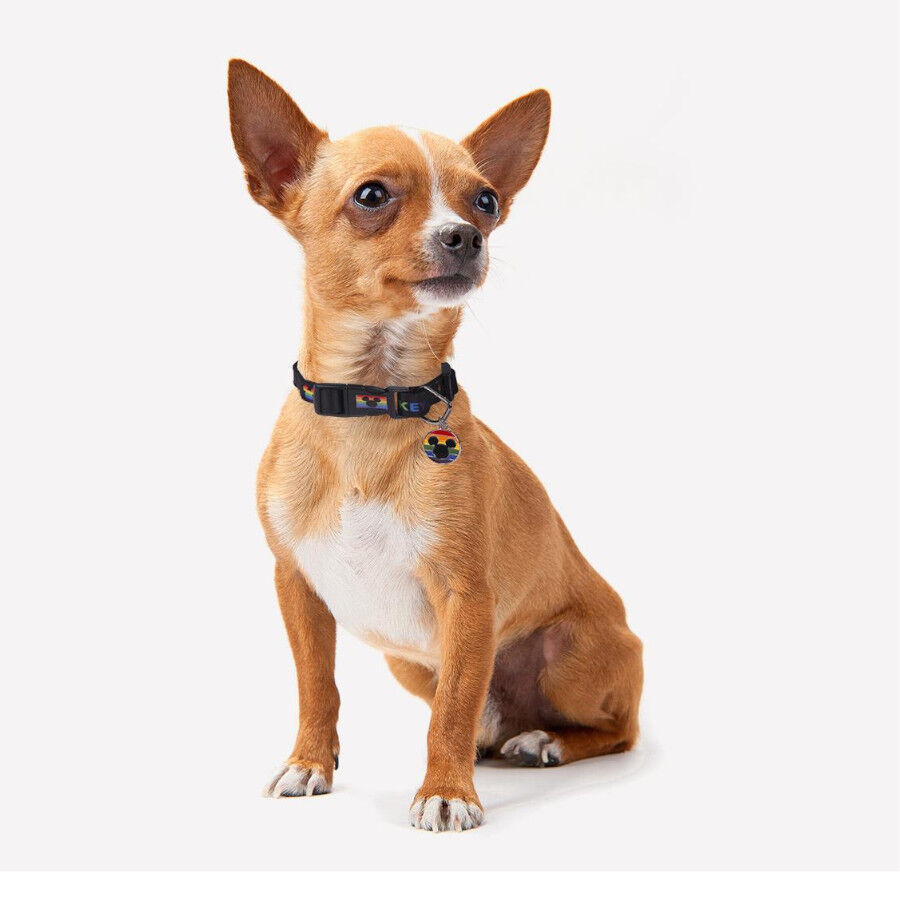 Disney Pride Collar para perros, , large Imagen numero 2