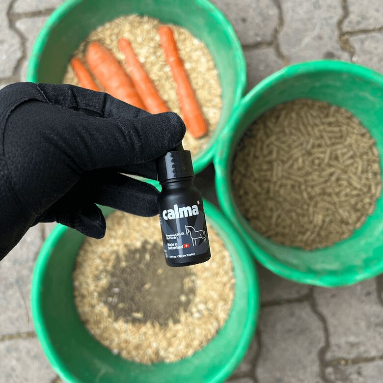 CALMA CBD Aceite de CBD para Caballos thumbnail