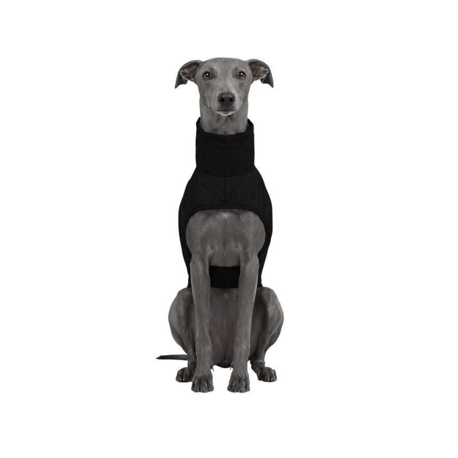 Gotoo Chaqueta Impermeable Negro para galgos, , large Imagen numero 7