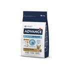 Advance Active Defense Yorkshire Terrier Adult pienso para perros, , large image number null