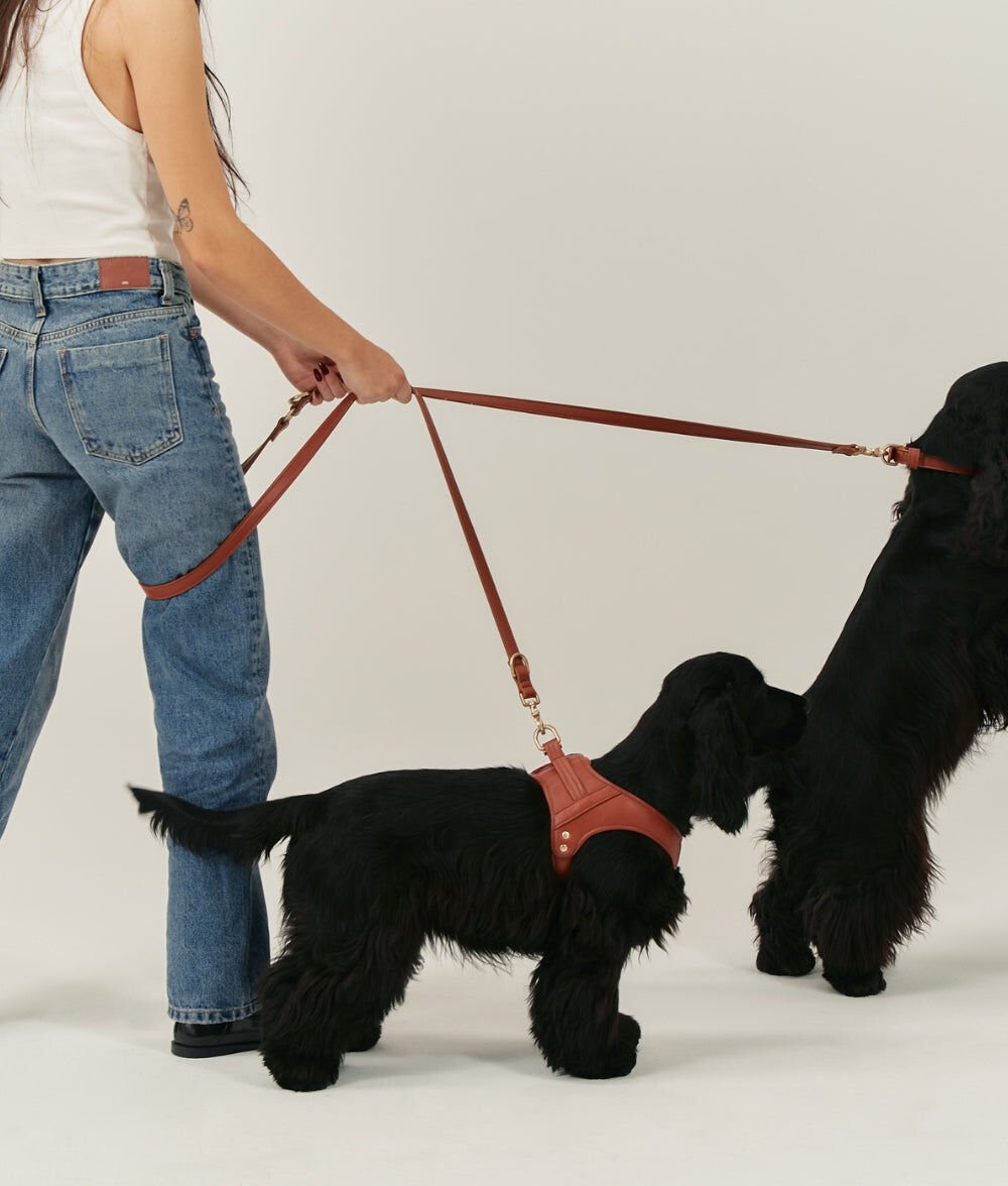 CAFIDE Correa Cuero Vegano Jala Marr&oacute;n, , large Imagen numero 2