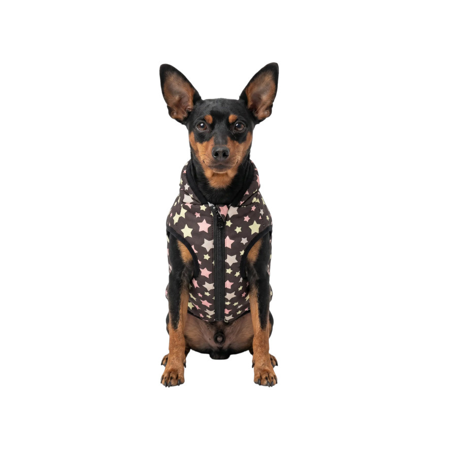 Gotoo Abrigo Estrellas con Capucha y Pomp&oacute;n para perros, , large Imagen numero 7