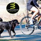 Correa de bicicleta para perros color Negro, , large image number null