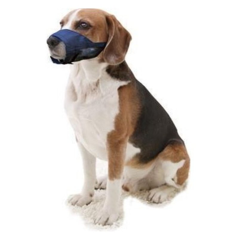 Bozal de nylon ajustable para perros color Azul, , large image number null