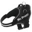 Arnés personalizado Super Doggy para perros color Negro, , large indicador imagen numero 1