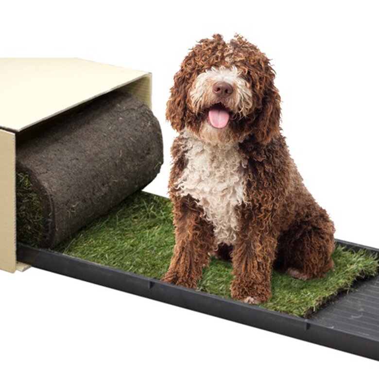 Petground recambio empapador ecológico para perros, , large image number null