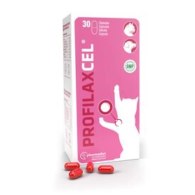 PROFILAXCEL