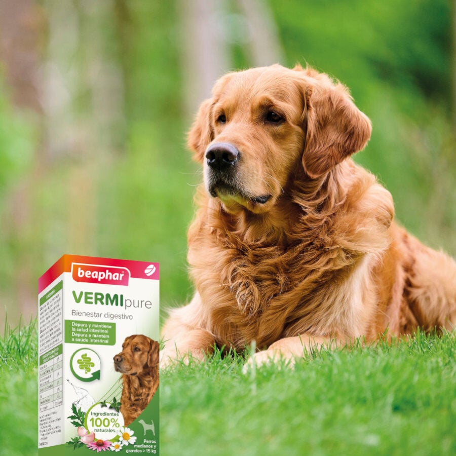 Beaphar Vermipure Repelente Interno Natural en comprimidos para perros medianos y grandes, , large Imagen numero 7