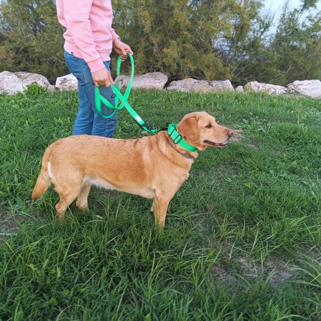 EGV - Correa multiposicion perro con doble asa de neopreno. Correa perro manos libres de 2,50 metros de longitud. (Verde), , large Imagen numero 4