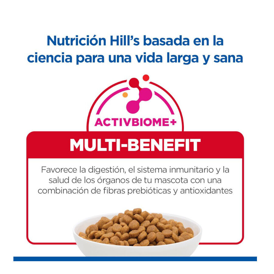 7 kg Hill's Science Plan Adult Pienso Salm&oacute;n para gatos, , large Imagen numero 7