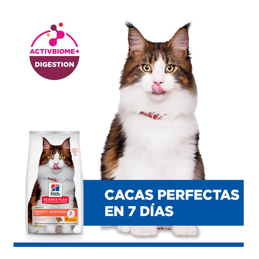 3 kg Hill's Science Plan Perfect Digestion Adult Pollo Pienso para gatos, , large Imagen numero 4