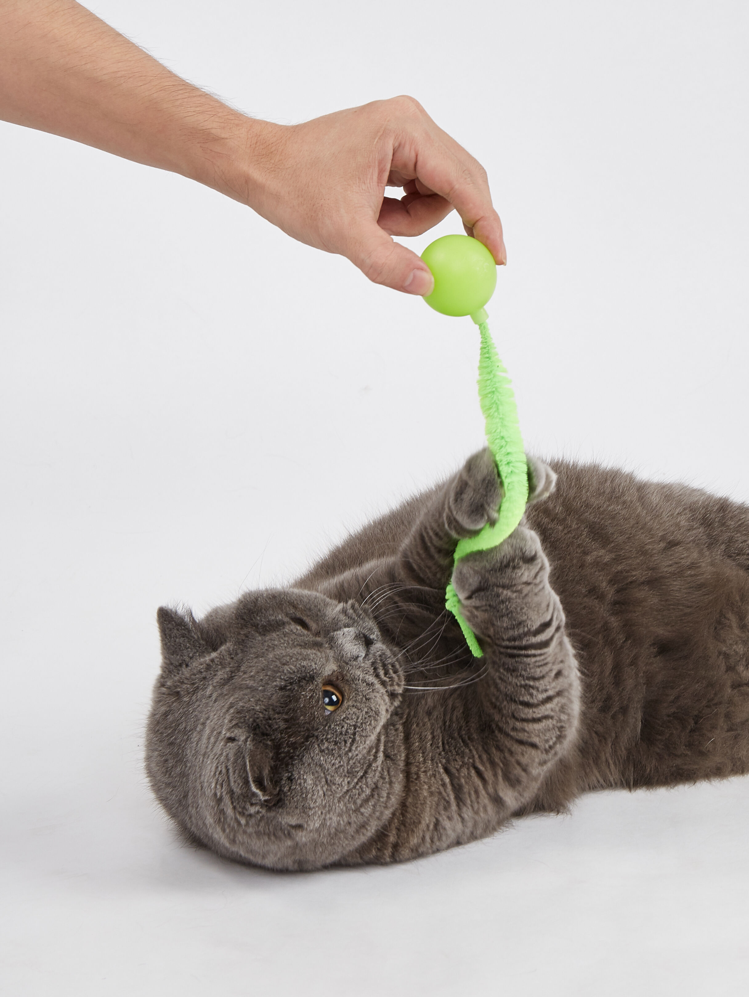 Juguete para Gato &ndash; Bolas con Cola Flexible que Brillan en la Oscuridad (Pack 2), , large Imagen numero 3