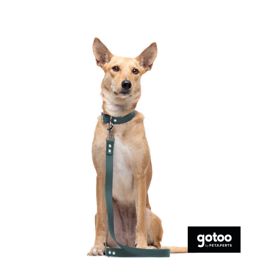 Gotoo Collar Biothane verde para perros, , large Imagen numero 8