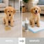 Nice Care Spray Atrayente Micciones para cachorros, , large indicador imagen numero 4