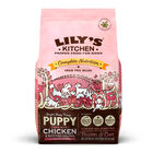 Lily's Kitchen Puppy Pollo y Salmón pienso para perros, , large image number null