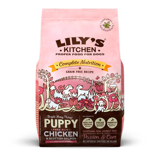 Lily's Kitchen Puppy Pollo y Salmón pienso para perros 
