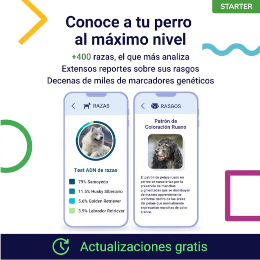 Koko Genetics Prueba de ADN Starter para perros, , large Imagen numero 2