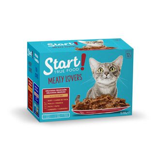 Start Cat Selección de carnes sobre con gelatina para gatos
