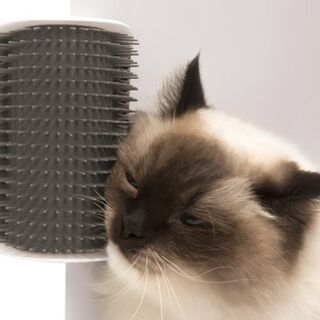 Catit Senses 2.0 Peine para pared para gatos