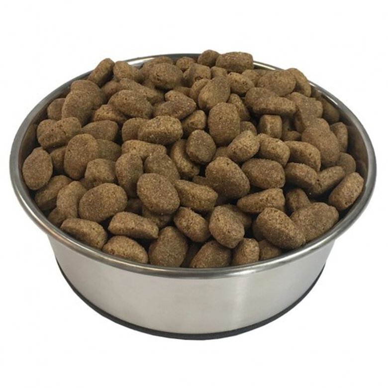 Pienso Adult Essence para perros sabor Cordero y Arroz, , large image number null