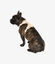 Pet and Co Set De Arnés y Correa Marrón Rex - Perros, , large indicador imagen numero 3