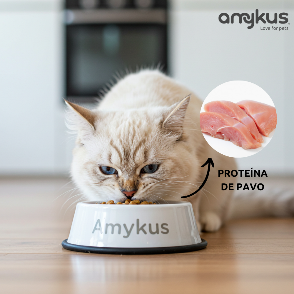 Amykus Original Cat Sterilized Sensitive - pienso para gatos estirilizados, , large Imagen numero 4
