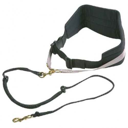 Correa para perros color Negro, , large Imagen numero 3