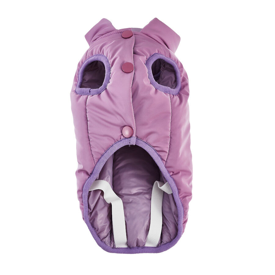 Freedog Abrigo Impermeable Winterhug Morado para perrros, , large Imagen numero 3