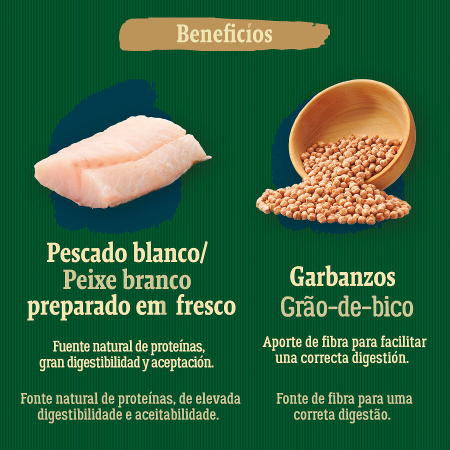 True Origins Wild Golden Coast con Pescado blanco pienso para perros, , large Imagen numero 5