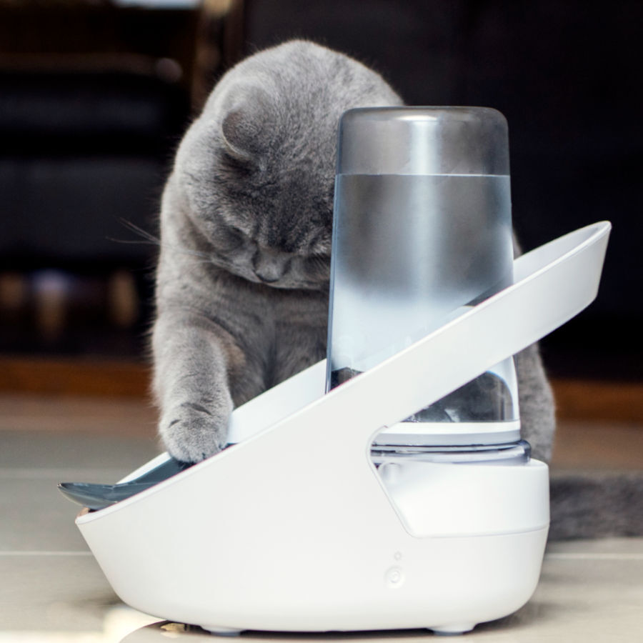 Sure Petcare Felaqua Connect Bebedero Automático para gatos thumbnail