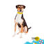 Summer Vibes Bandana refrescante para perros, , large indicador imagen numero 2