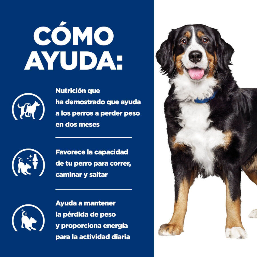 12 kg Hill's Prescription Diet j/d Metabolic + Mobility pienso para perros, , large Imagen numero 4