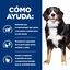 12 kg Hill's Prescription Diet j/d Metabolic + Mobility pienso para perros, , large indicador imagen numero 4