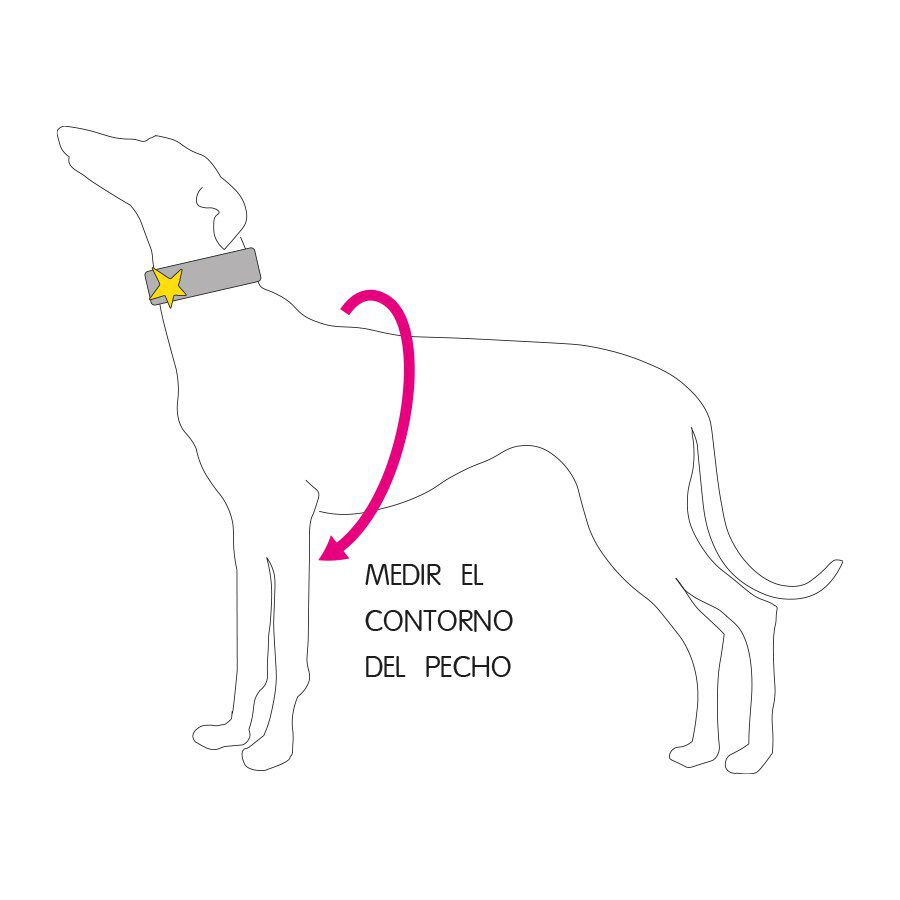 Jersey de Algod&oacute;n Gris - Escoc&eacute;s Talla S, , large Imagen numero 2