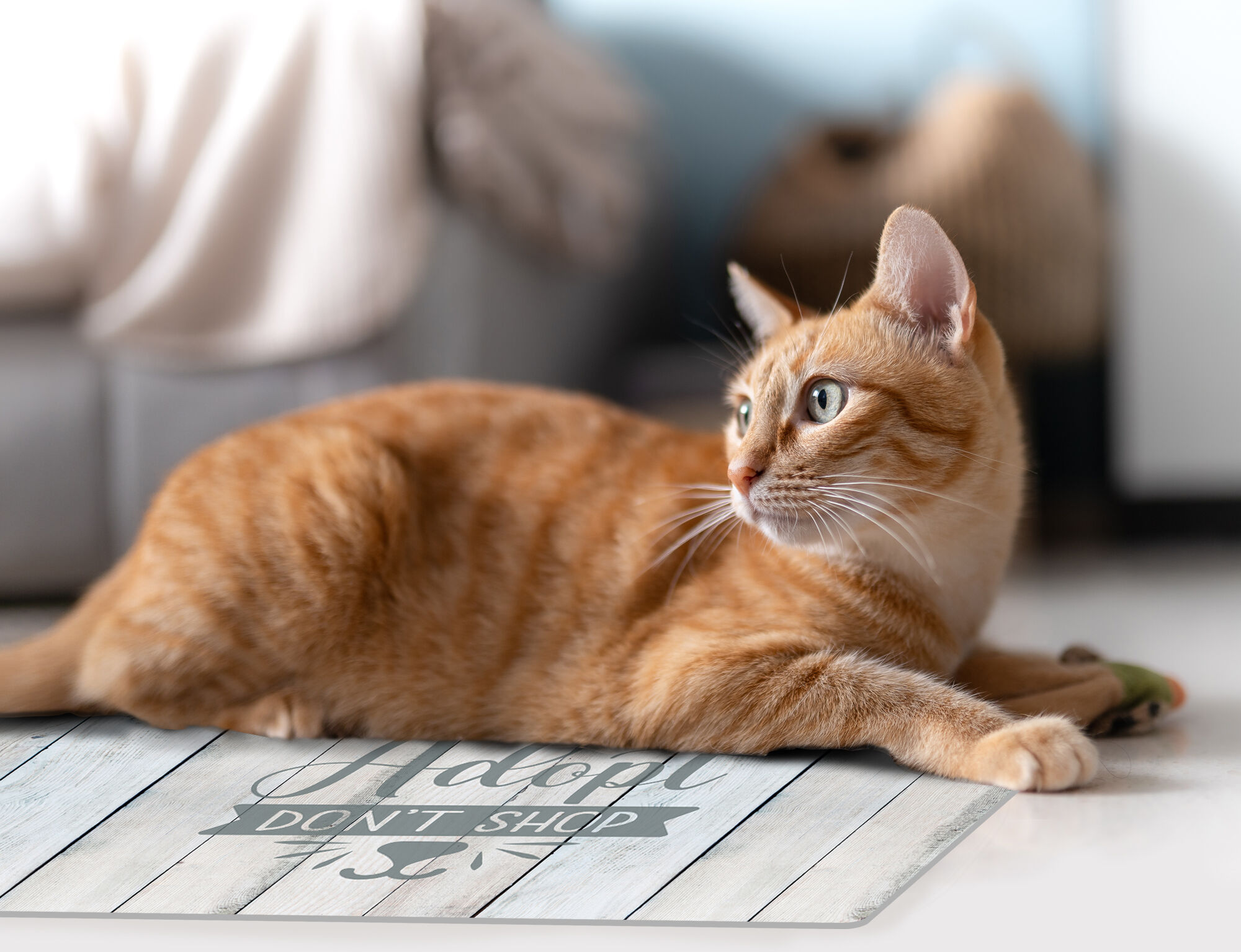 VINILIKO, alfombra de vinilo mascotas, Adopta, no compres 48x75 cm, , large Imagen numero 2